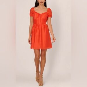 NWT ADRIANA PAPELL Shirred Fit And‎ Flare Dress Puff Sleeves Orange Spice 10.